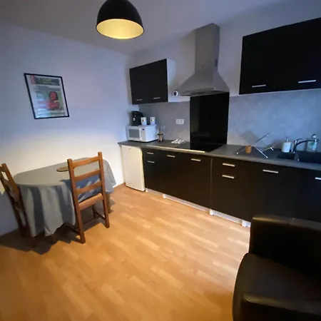 F1 Apartment Mauriac (Cantal)
